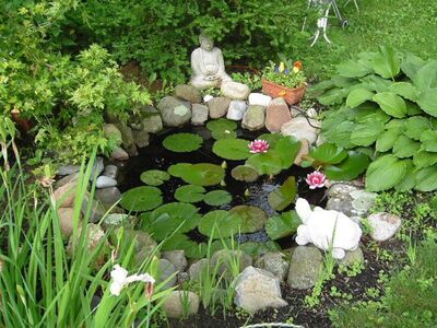 Online Auction Sure To Please Tree Huggers!