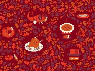 Rotary meals delivery/Thanksgiving