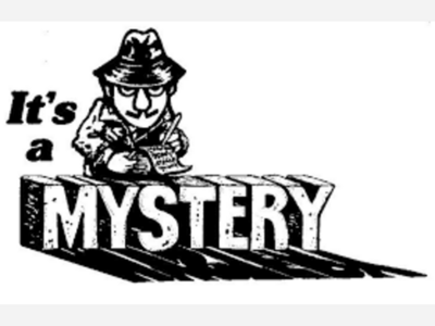 Special Lunch:  Plant Based Mystery!